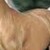 :iconmangolover3000: