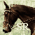 :iconmanhattan-design: