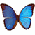 :iconmaniacontheedge: