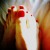 :iconmanicbabe: