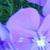 :iconmaninah: