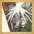 :iconmanjaro-doushin: