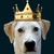 Manji675 :iconmanji675:
