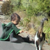 :iconmanky96: