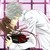 :iconmanman416789: