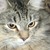 ManorWhisper :iconmanorwhisper: