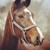 :iconmanoukphotography: