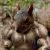 :iconmanperson1: