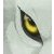 :iconmantisboy9090: