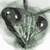 :iconmantodea: