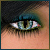 :iconmanu-w: