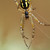 :iconmanualfocusphoto: