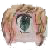 :iconmanuelaski: