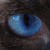 :iconmanurol: