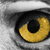 :iconmanwe-king-of-winds: