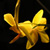 :iconmanwe: