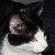 :iconmanwithahundredeyes: