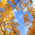 :iconmany-waters: