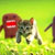 :iconmaomao64: