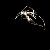 :iconmaorae: