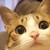 :iconmaosansan: