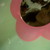 :iconmap545: