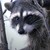 :iconmapacheknits: