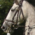 :iconmapal-stock: