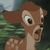 :iconmaple-sarup:
