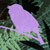 :iconmapleflare: