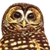 :iconmapleflavored: