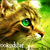 :iconmaplefrost-232: