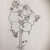 MapleNutCase77 :iconmaplenutcase77: