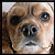 :iconmaplerphotos:
