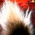 :iconmaplestar:
