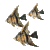 :iconmapwriter:
