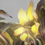 :iconmar-93:
