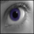 :iconmar-cat91: