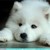 :iconmar0006: