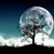 :iconmara-fallenstar: