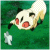 marader4 :iconmarader4: