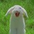 :iconmaraenna: