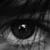 :iconmarauder-padfoot: