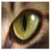 :iconmaravillos:
