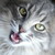 :iconmarbleplanets: