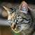 :iconmarc2266: