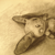 :iconmarcartz: