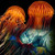 :iconmarcauri: