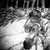 :iconmarce-chelito: