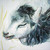 :iconmarce-gus: